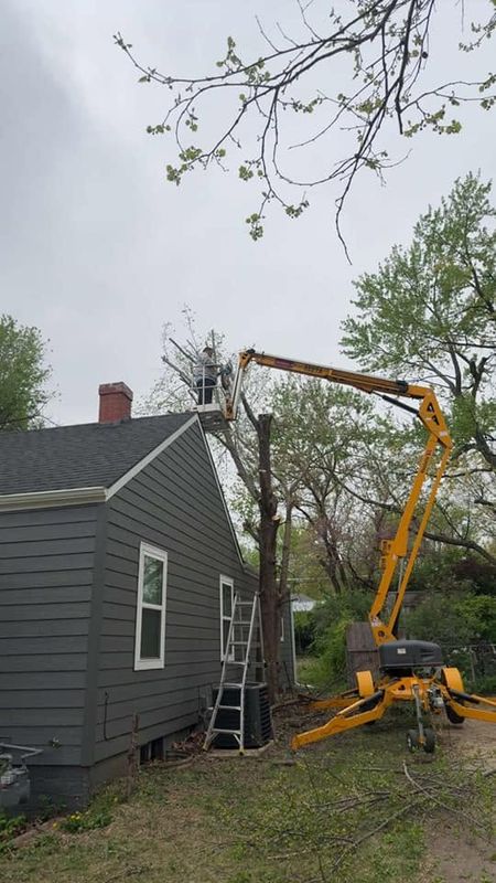 Worker taking a tree down in sections from a lift beside a house